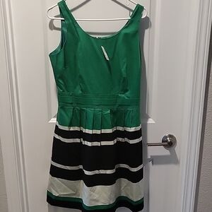 The Limited Green and Black Striped Midi Dress